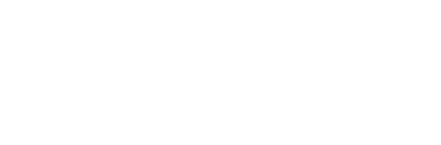 The Fat Fox — Rotterdam